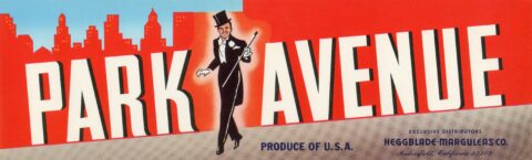 Park Avenue